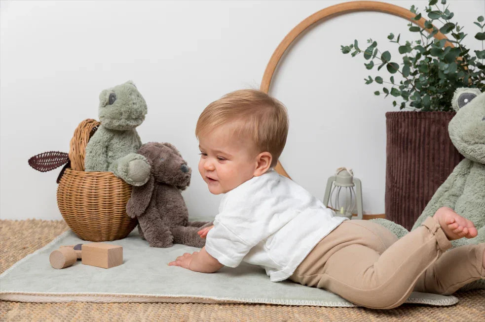 Happy Horse - Frog Flex by Happy Horse | Ultra-Soft Plush Toy for Babies & Toddlers