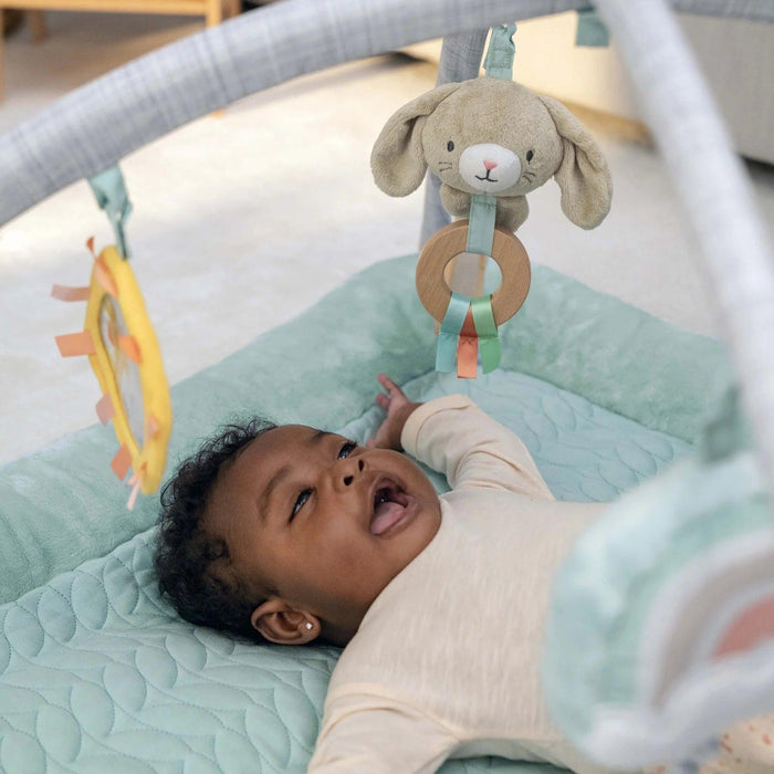 Ingenuity® - Ingenuity Calm Springs Plush Baby Activity Gym - Chic Boutique