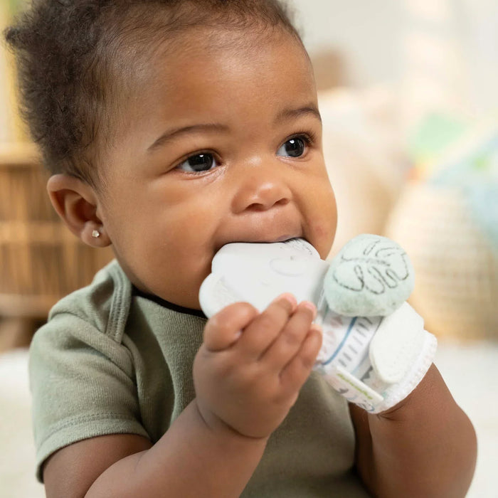 Ingenuity® - Ingenuity Van the Elephant | Baby Teething Mitt & Rattle