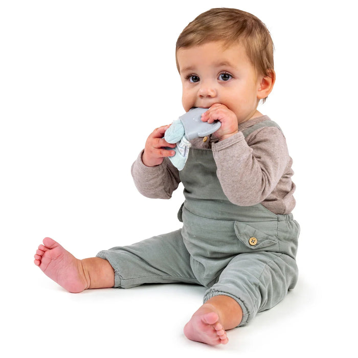 Ingenuity® - Ingenuity Van the Elephant | Baby Teething Mitt & Rattle