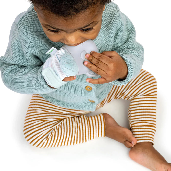 Ingenuity® - Ingenuity Van the Elephant | Baby Teething Mitt & Rattle