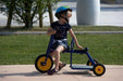 Italtrike® - Italtrike® Atlantic Carry Tricycle