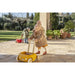 Italtrike® - Italtrike®Mini Eolo Roberto Baby Walker