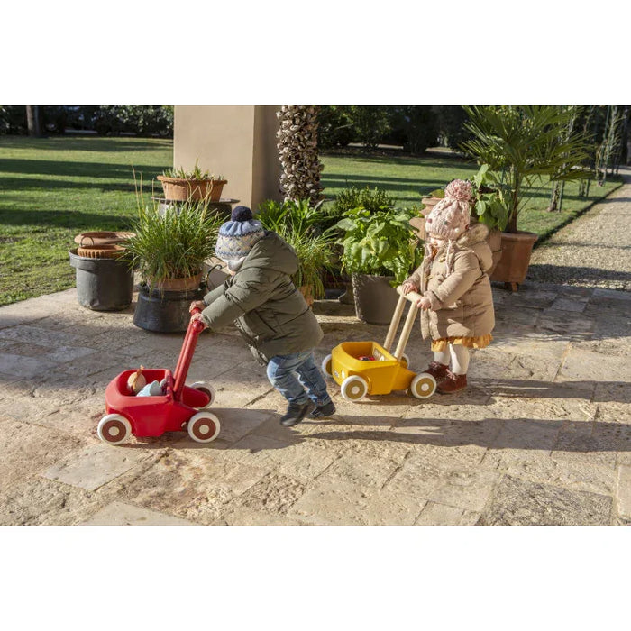 Italtrike® - Italtrike®Mini Eolo Roberto Baby Walker