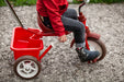 Italtrike® - Italtrike®Passenger Tricycle