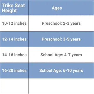 Italtrike® - Italtrike® Pilot 300 Specialty Trike