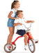 Italtrike® - Italtrike®Spoke 16" Tricycle