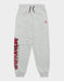 Jordan kids grey sweatpants with red logo and side print, displayed on a flat background.
