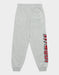 Jordan kids' grey jogger pants with red logo on leg, shown flat on a white background.