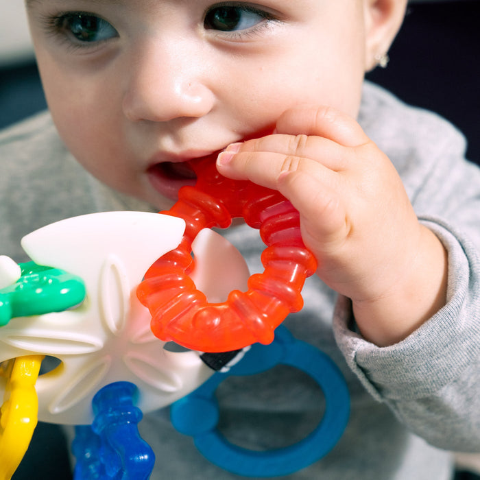 Baby Einstein Sea of Sensory™ Teether Toy