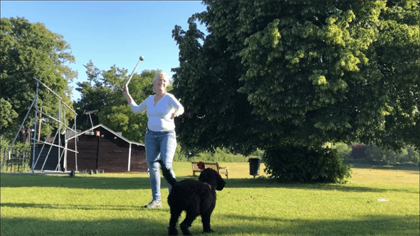 Kompact9 - Kompact9 Retractable Ball Launcher Grey