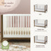 Little Seeds Laurel Island convertible crib shown as crib, toddler bed, and daybed in a nursery setting.