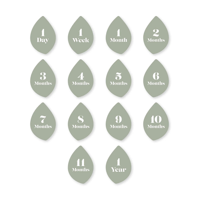 Lulujo® Muslin Milestone Blanket Set – Baby Photo Swaddle with Cards