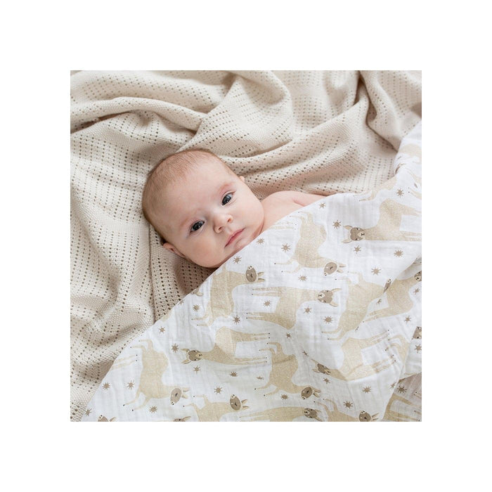 Lulujo Swaddle Blanket Muslin Cotton Modern Llama