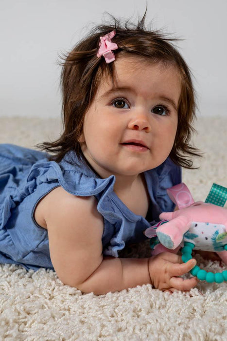 Mary Meyer® - Mary Meyer Taggies Aroar-a-saurus Teether Rattle 5"