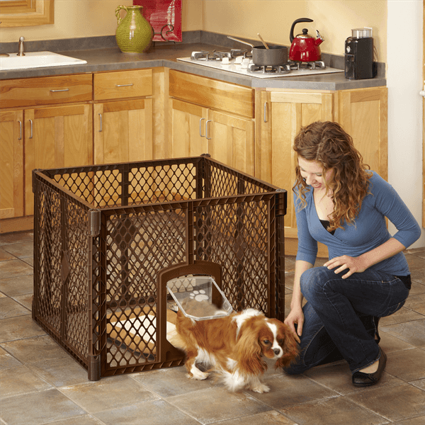 North States Pet - North States Pet Petyard Passage 4 Panel Brown