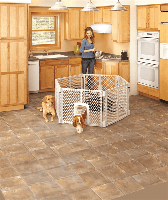 North States Pet - North States Pet Petyard Passage Grey