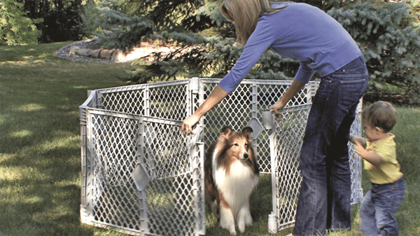 North States Pet - North States Pet Petyard Passage Grey