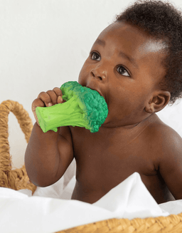 Oli & Carol - Oli & Carol Brucy the Broccoli Baby Teether Toy