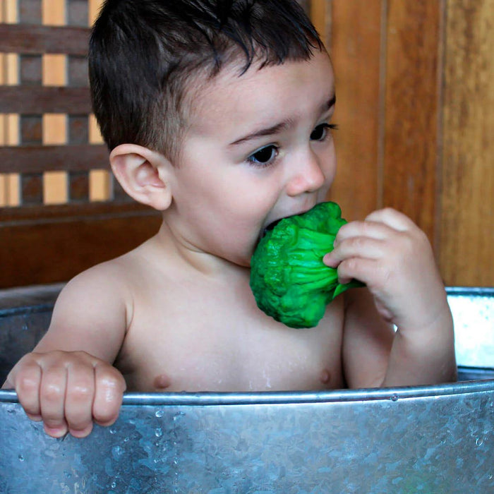Oli & Carol - Oli & Carol Brucy the Broccoli Baby Teether Toy