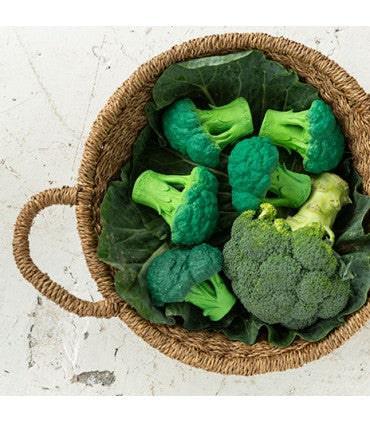 Oli & Carol - Oli & Carol Brucy the Broccoli Baby Teether Toy