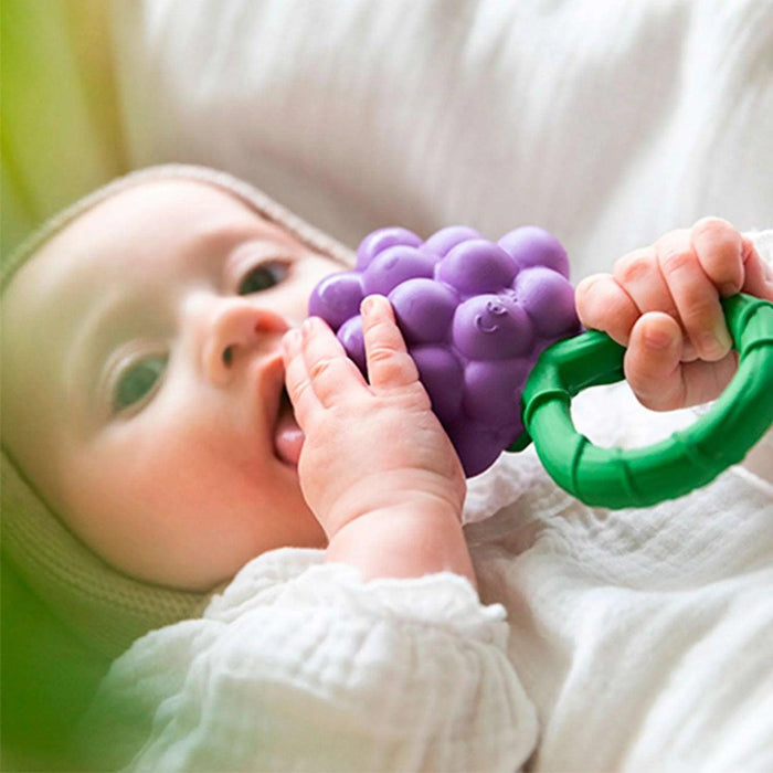 Oli & Carol - Oli & Carol Grape Baby Rattle Toy