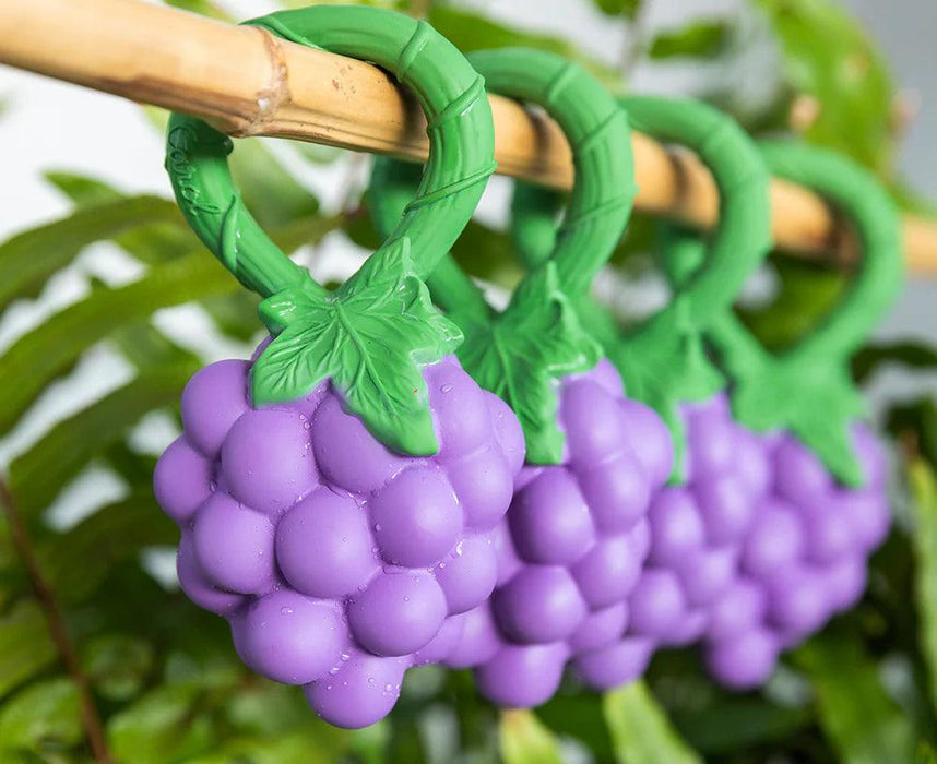 Oli & Carol - Oli & Carol Grape Baby Rattle Toy