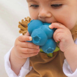 Oli & Carol - Oli & Carol Jerry the Blueberry Baby Teether Toy