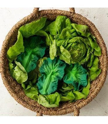 Oli & Carol - Oli & Carol Kendall the Kale Baby Teether Toy