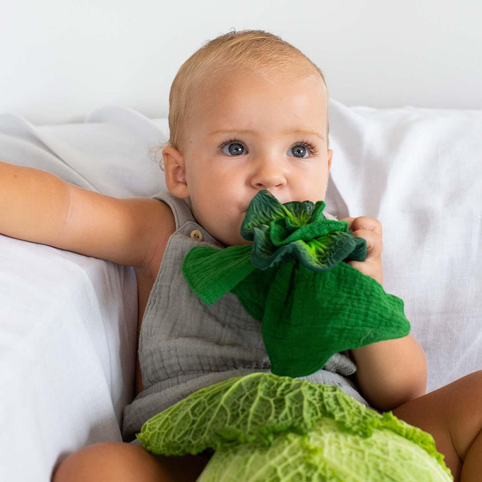 Oli & Carol - Oli & Carol Kendall the Kale Mini Doudou-Teether Toy