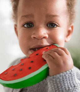 Oli & Carol - Oli & Carol Wally the Watermelon Teether Toy