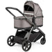 Peg Perego® - Peg Perego YPSI Bassinet with home stand (Certain colors DO NOT include home stand)