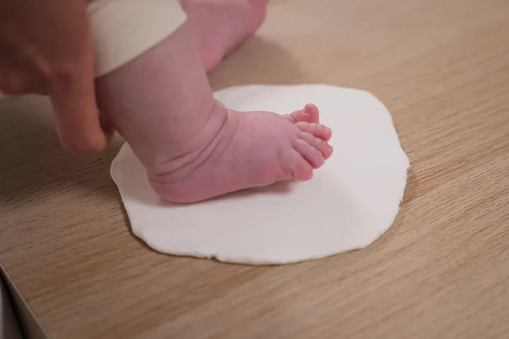 Petit Artichaut® - Petit Artichaut® 2 Prints + Frame – Rainbow Terracotta