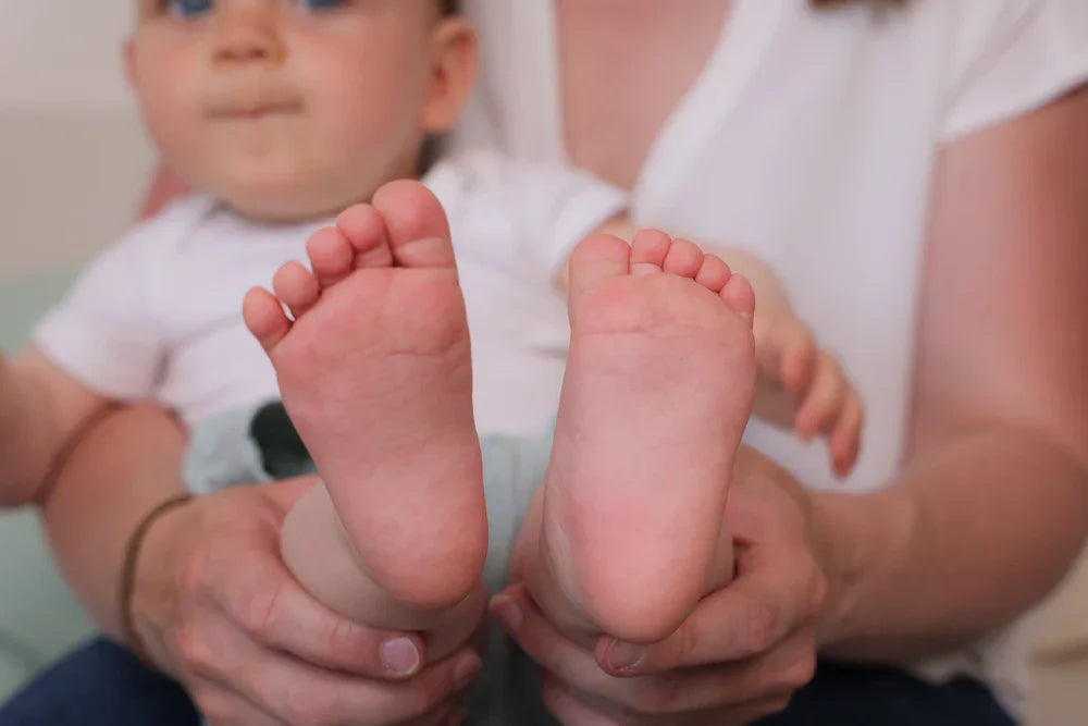 Petit Artichaut® - Petit Artichaut® Double Frame – Olive Tree