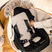 Petit Coulou® - Petit Coulou Insulated Backing for Car Seats 2.0