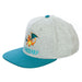 Pokemon Charizard youth snapback hat in grey with teal brim, featuring Charizard graphic on front.