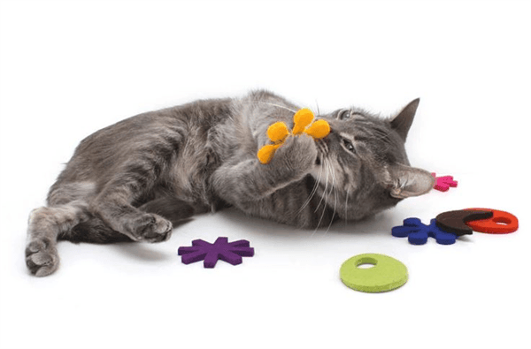 PrimeTime Petz - PrimeTime Petz Atomic Flyers Cat Toys