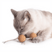 PrimeTime Petz - PrimeTime Petz Cork Bombs Cat Toys