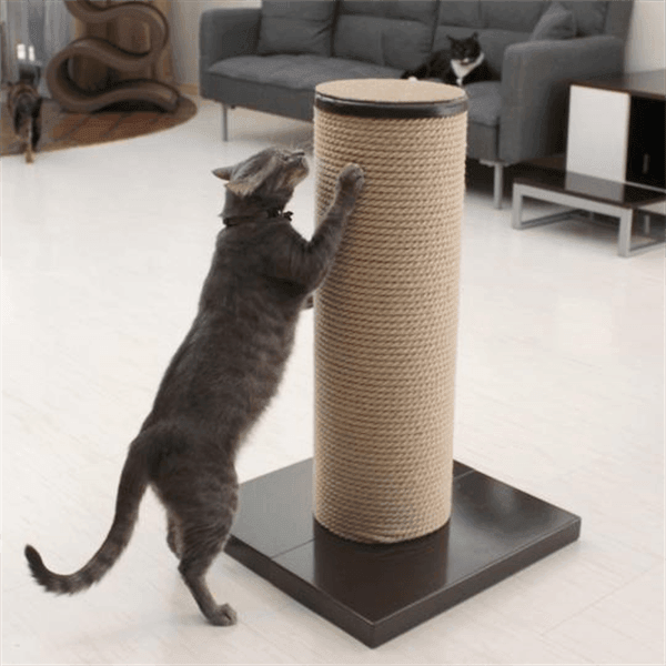 PrimeTime Petz - PrimeTime Petz MaxScratch Cat Post & Perch