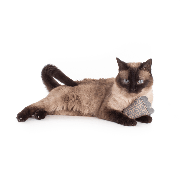 PrimeTime Petz - PrimeTime Petz ModShakers Cat Toy