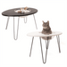 PrimeTime Petz - PrimeTime Petz NestEgg Cat Bed/Side Table Black