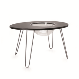 PrimeTime Petz - PrimeTime Petz NestEgg Cat Bed/Side Table Black