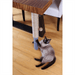 PrimeTime Petz - PrimeTime Petz Scratch Pole Dual Surface Seagrass/Felt
