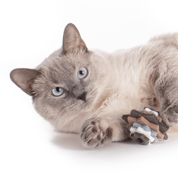 PrimeTime Petz - PrimeTime Petz Stacks Cat Toys