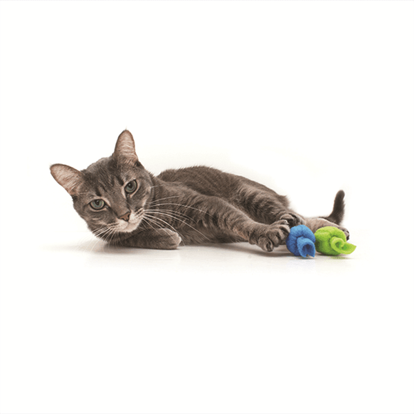 PrimeTime Petz - PrimeTime Petz Taffy Rolls Cat toys