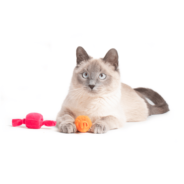 PrimeTime Petz - PrimeTime Petz Taffy Rolls Cat toys