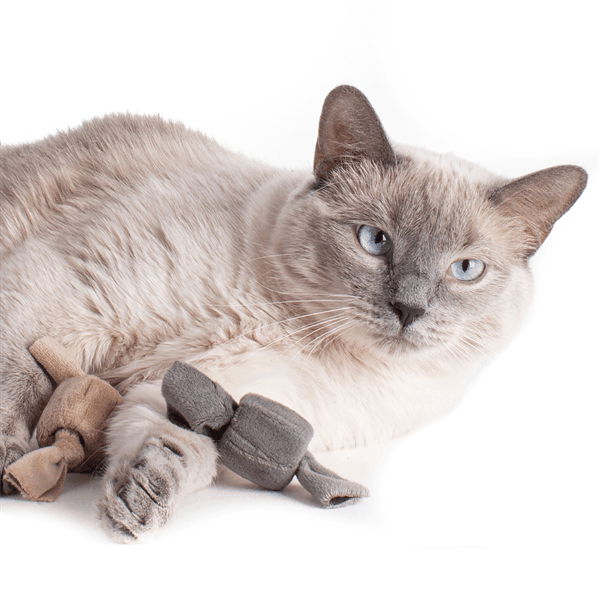 PrimeTime Petz - PrimeTime Petz Taffy Rolls Cat toys