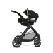 Silver Cross - Silver Cross Reef 2 Stroller – Foldable Luxury Stroller from Birth