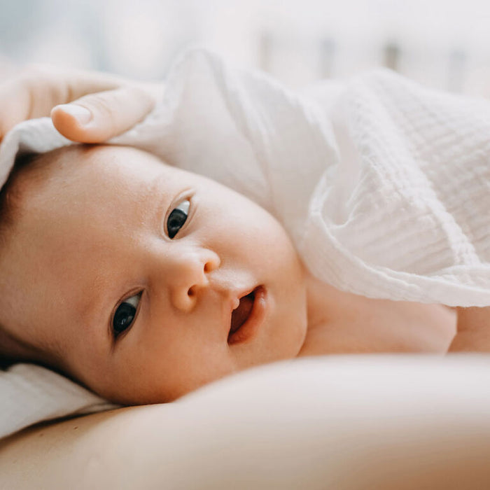 Simmons Deluxe 4-Ply Muslin Blanket