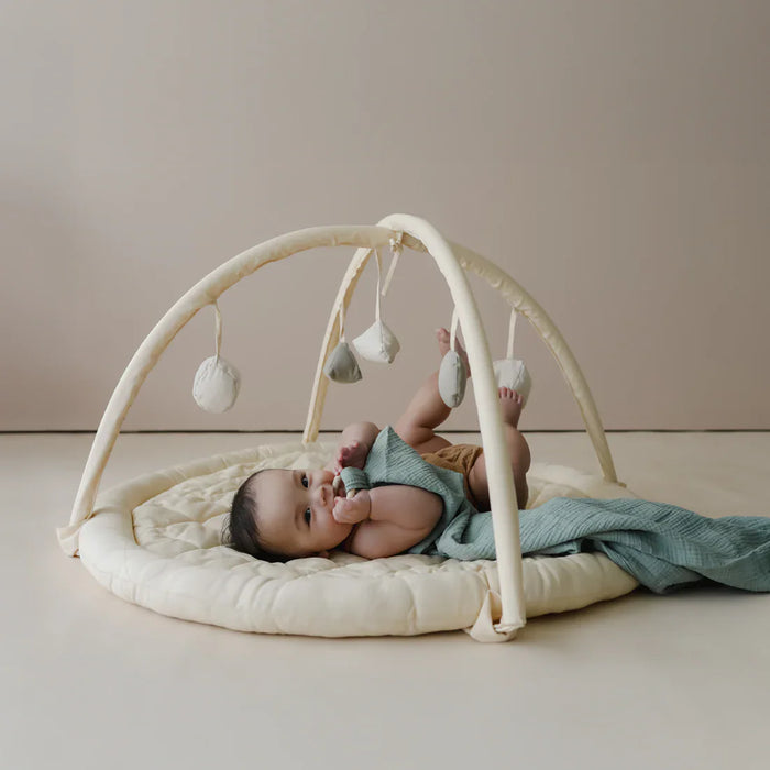 Snuggle Me® Organic Cotton Baby Play Gym with 9 Sensory Toys